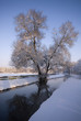 Foto: Winterlandschaft Winterlandschaft