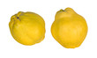 Two quinces (golden apples) isolated on white background