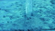 Water jet