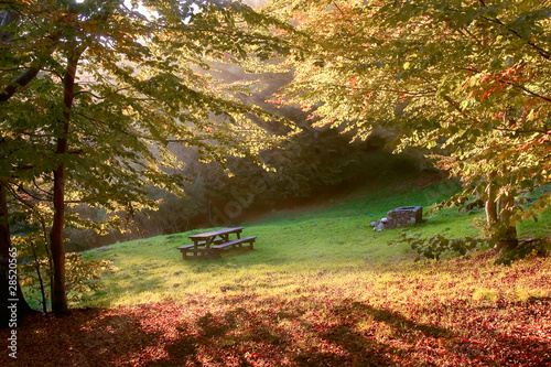 Photo: autumn scene autumn scene