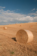 Golden hay bales in Tuscany, Italy