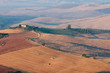 Typical tuscan landscape