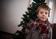 Foto: bambino prepara albero di Natale bambino prepara albero di Natale