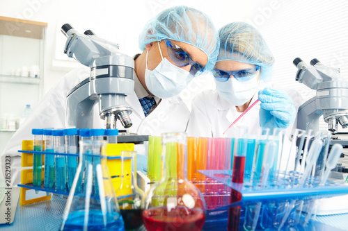 Photo: Science team Science team