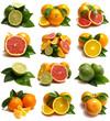 Citrus