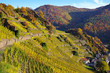Herbst im Ahrtal