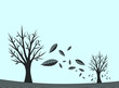 autumn wind
