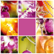 Patchwork Collection Noel Patchwork Collection Noel