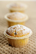 muffin