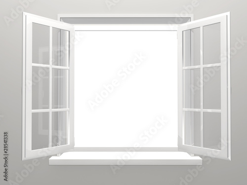 Illustrazione: Window Window