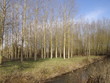 Boutonne en Forêt Boutonne en Forêt