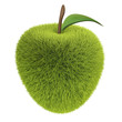 Illustrazione: green grass apple green grass apple