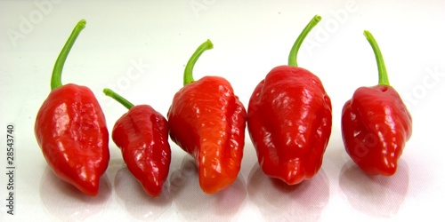 Foto: IMG_2432_someChillies.jpg IMG_2432_someChillies.jpg