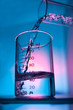Beakers in lab