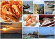 Bretagne