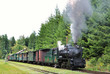 Steam train