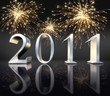 2011 Feuerwerk 1