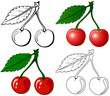 Cherry