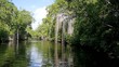 Video: Fahrt auf dem Black River Fahrt auf dem Black River