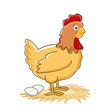 hen with eggs