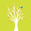 Bird in tree