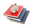 little house and books