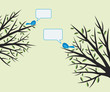 Birds chatting