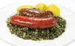Grünkohl, Nahaufnahme Grünkohl, Nahaufnahme