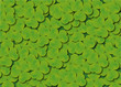 Treffle_Coeur2