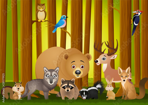 Vector: Funny animal cartoon Funny animal cartoon