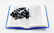 BIBLE AND ROSARY
