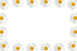 daisy frame