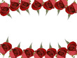 roses frame