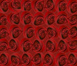 roses background