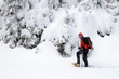 Schneeschuhwanderer