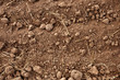 Soil background