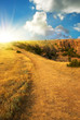 Hill and sunshine. Hill and sunshine.