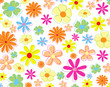 colorful flowers