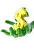 dollar