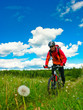 Cross-country biker