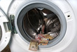 washing machine and money