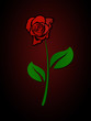 Red Rose In The Dark Red Rose In The Dark