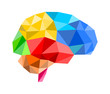 Vektor: 3d polygon brain 3d polygon brain