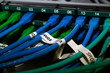 Ethernet cables connected to a switch