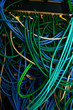 Ethernet cables connected to a switch, wiring harness Ethernet cables connected to a switch, wiring harness