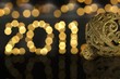 2011 new year