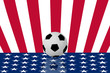 football on the USA flag nation