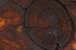 Dark wood abstract texture