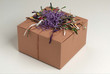 wrapped present with big bow awaits being opened wrapped present with big bow awaits being opened