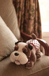 stuffed dog toy sits on a chair inside of a house stuffed dog toy sits on a chair inside of a house
